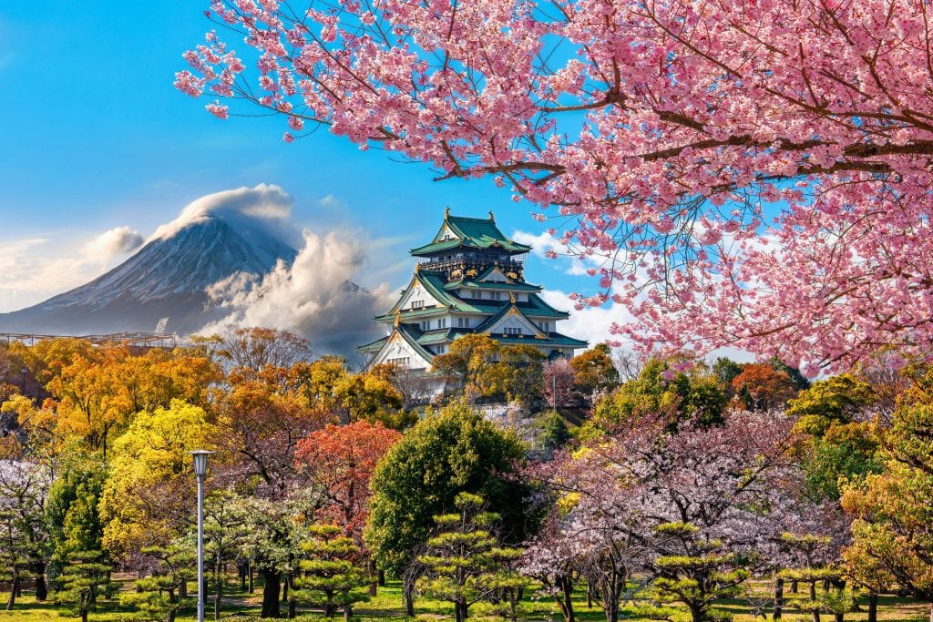 Osaka Castle With Cherry Blossom