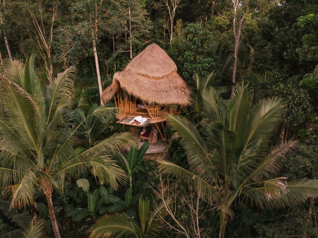 couple on hammock balcony of bamboo tree house with jungle nature, Bali