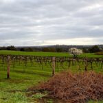 Romance in the Barossa Valley: A Weekend in Angaston