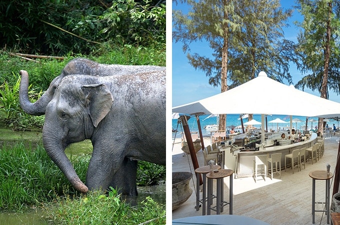 PHuket Elephant sanctuary and Catch BEach Club