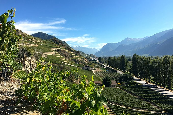 Switzerland -  St-Leonard vineyards