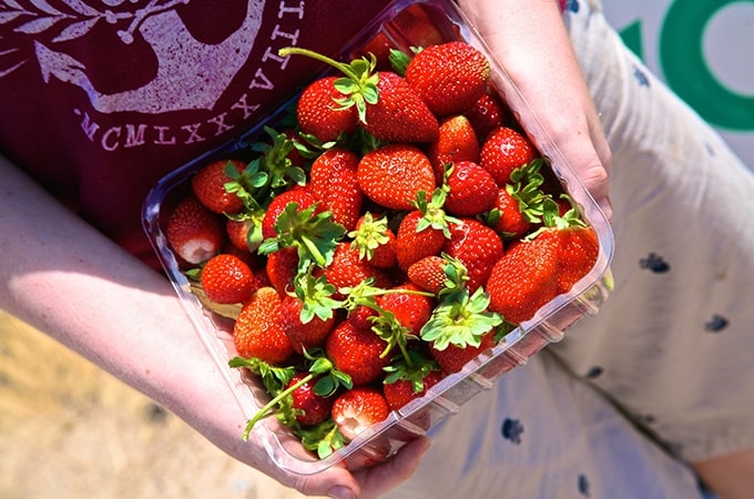 A hand-picked punnet of juicy red strawberries from Strawberry Fields
