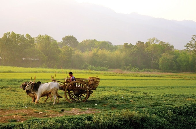 Myanmar - farming