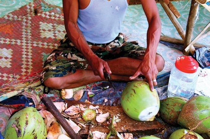 Myanmar - coconut