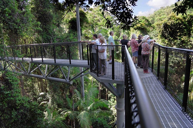 Tourist enjoying the view of lush greeneries and trees on a high platform at Tamborine Rainforest Skywalk in The Gold Coast Hinterland.
