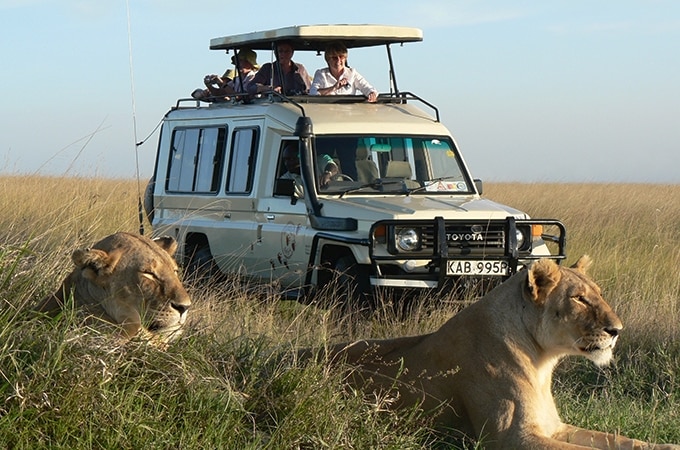 Wildlife Safari vehicle with lions