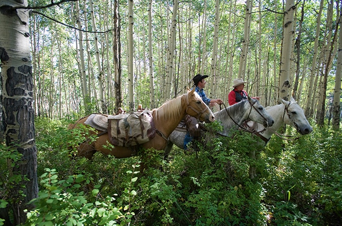 Exploring the Vail area on horseback