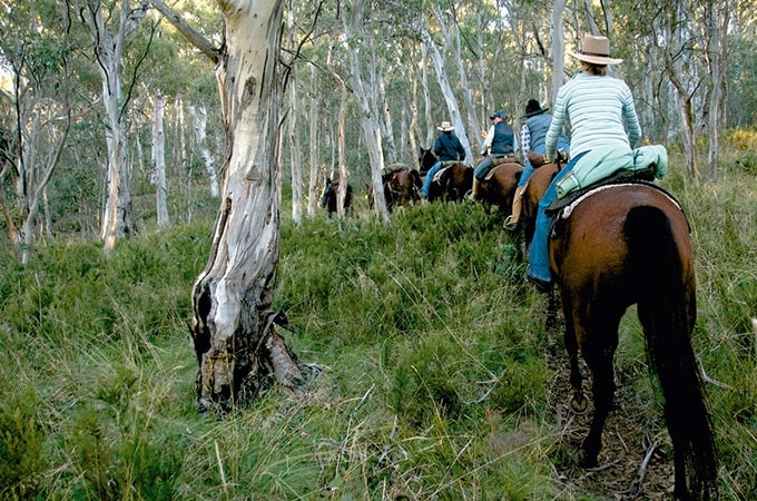 Horse riding in the Snowy Mountains