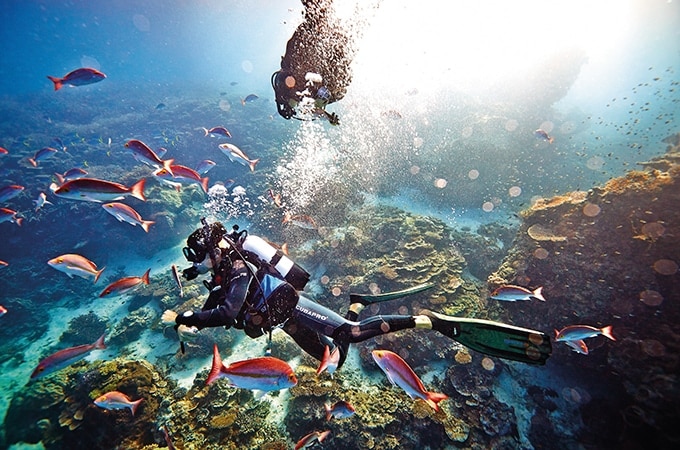 A couple of scuba divers surrounded by a school of fish in the Great Barrier Reef