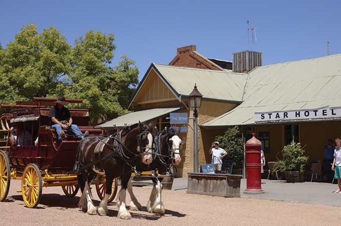Horse and Carriage Echuca