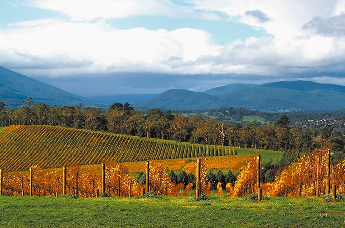 The Yarra Valley is famous for its wine regions