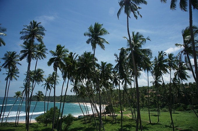 Relax under shady palms at one of Sri Lanka's pristine beaches
