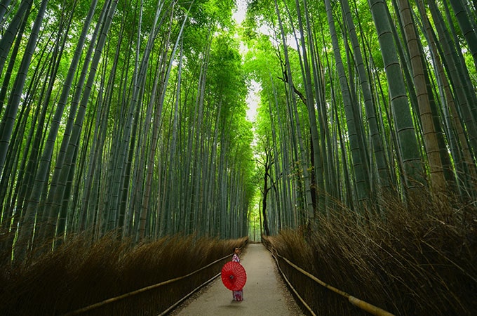 Arashiyama Japan