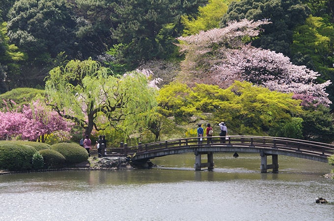 Stroll Tokyo's gardens on your honeymoon