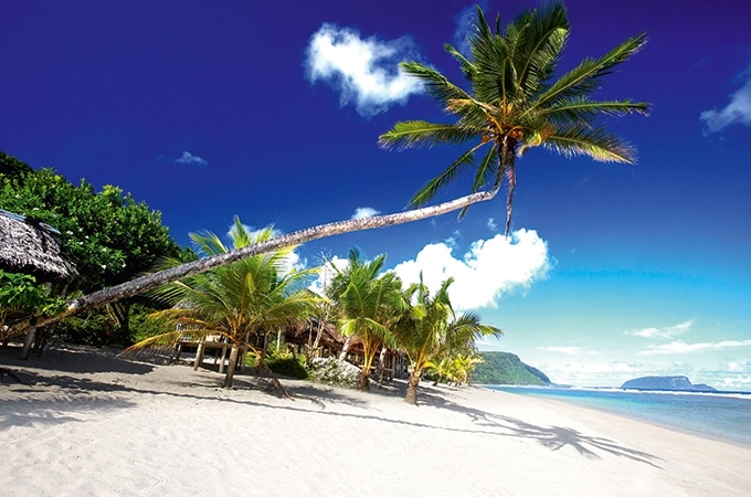 Beach in Samoa with palm trees