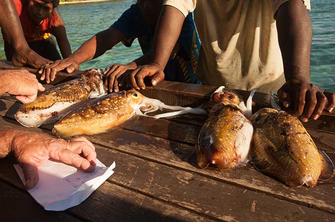 Fishermen Solomon Islands