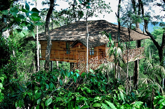 Exterior view of the “TranquiliTree” treehouse, overlooking a verdant valley