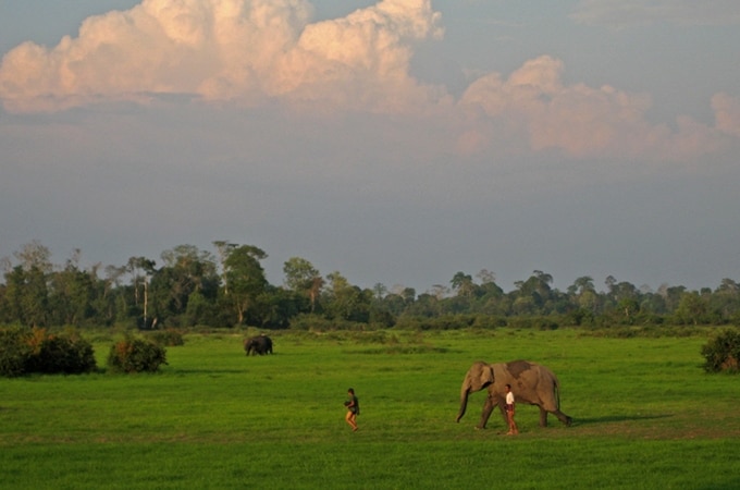 Elephant and mahout in Laos; photo: gardnergp