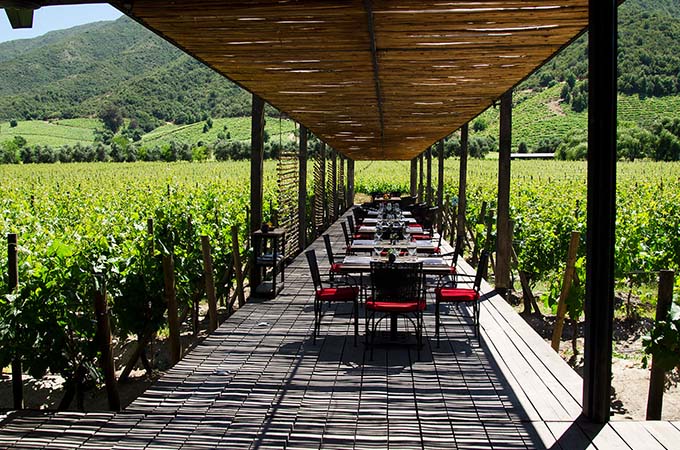  Diners are surrounded by vines during lunch at Fuegos de Apalta 