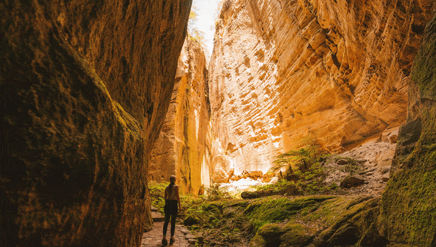This sandstone sanctuary is full of hidden wonders. Photo: Reuben Nutt/Tourism and Events Queensland