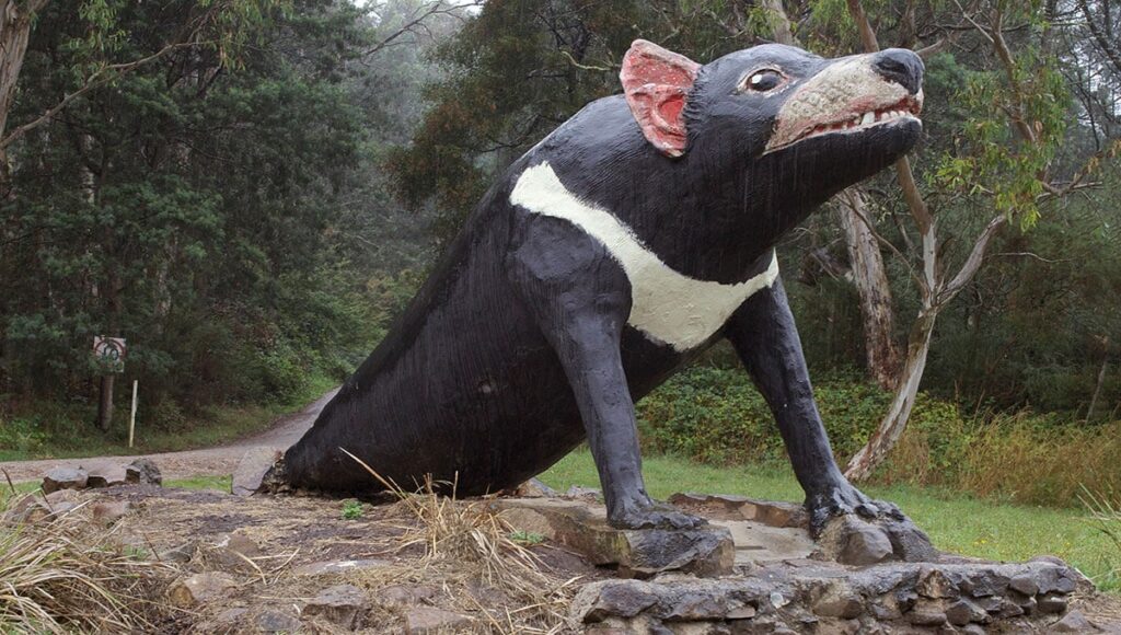Statue of a wombat or tasmanian devil at Trowunna Wildlife Sanctuary in the rain