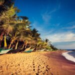 What To Do & See On Your Sri Lanka Holiday