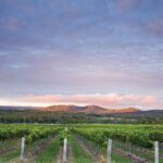 Where to eat, drink and stay in Queensland’s wine country