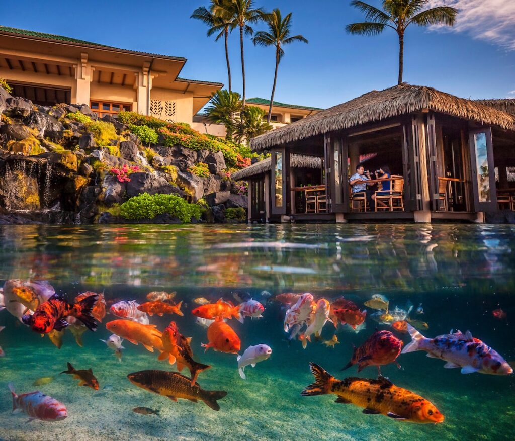 Grand Hyatt Kauai Resort & Spa Tidepools