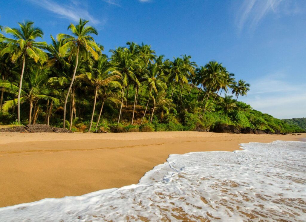 Goa Beaches Attract honeymooners from all over the world
