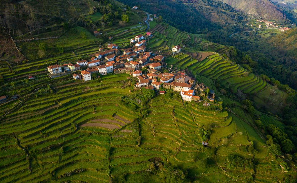 Europe-Sistelo-Portugal-drone-shot-of-rice-fields-with-houses