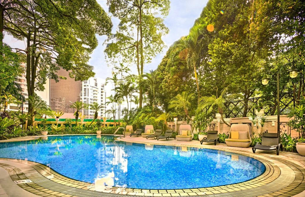 Swimming pool surrounded by trees and greeneries at the Vibe Hotel in Singapore
