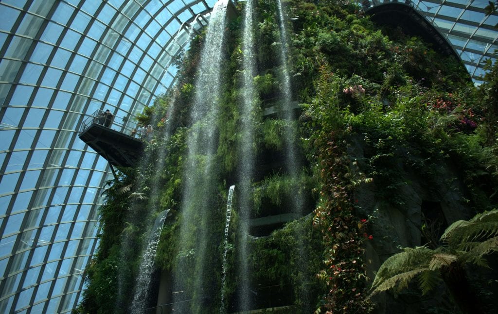 Cloud Forest Gardens by The Bay