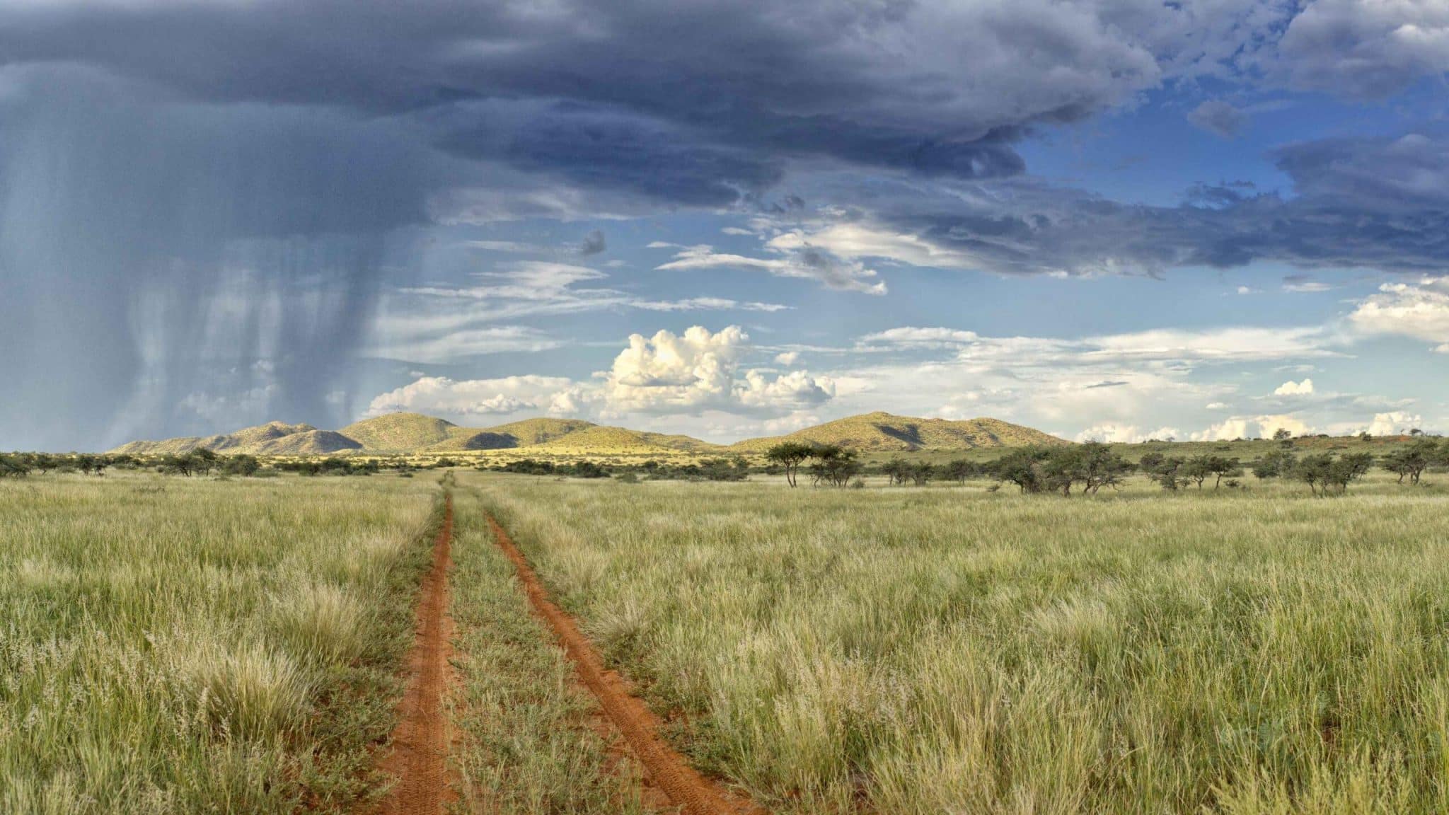 Kalahari Africa Landscape overview