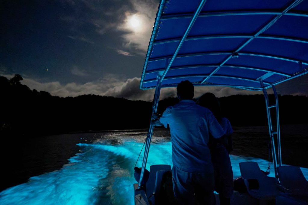 Playa Cativo Lodge - Eco Lodge Costa Rica - Bioluminescence Expedition