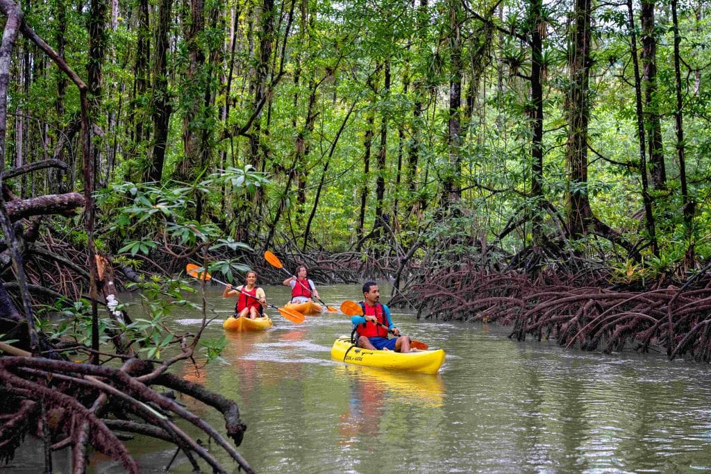 Playa Cativo Lodge - Eco Lodge Costa Rica - Kayak Tour Guided_Couple