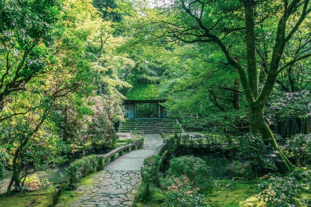 A temple in Kyoto Japan surrounded by lush greeneries and trees
