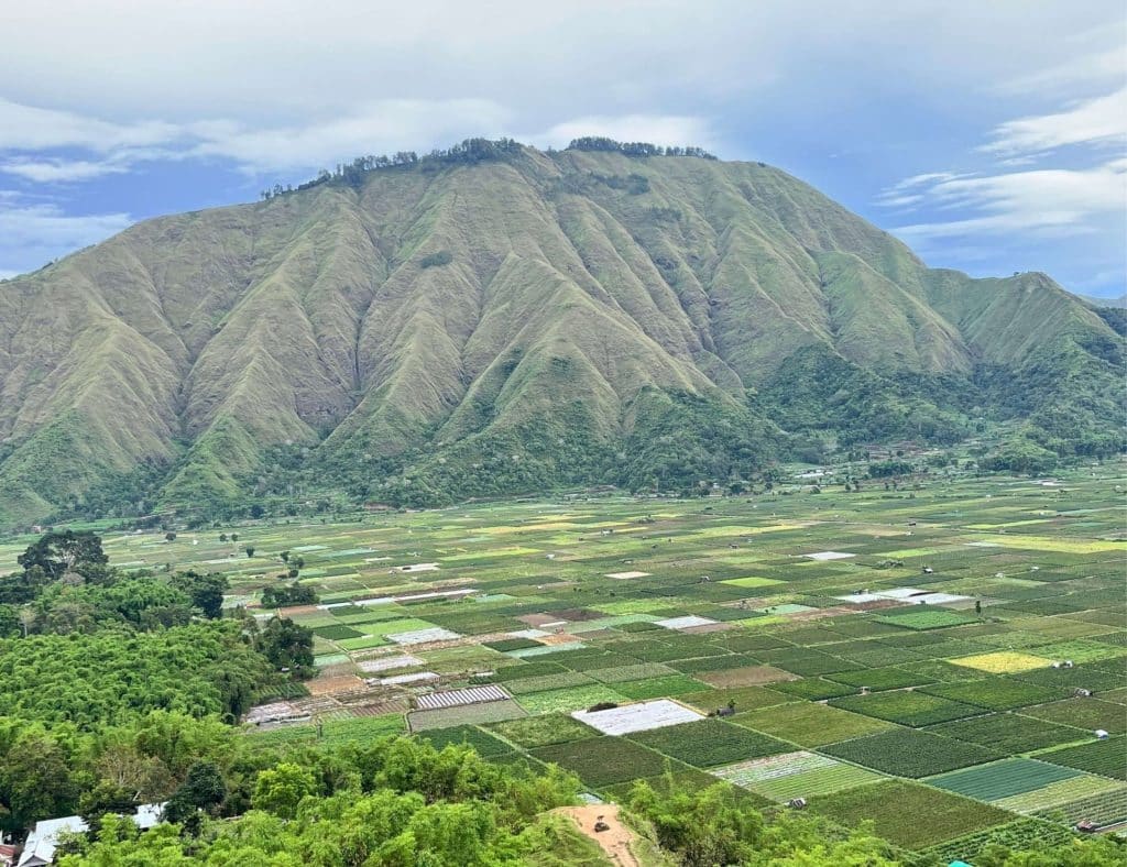 Bukit-Selong-Rice-Field-Viewpoint-Lombok