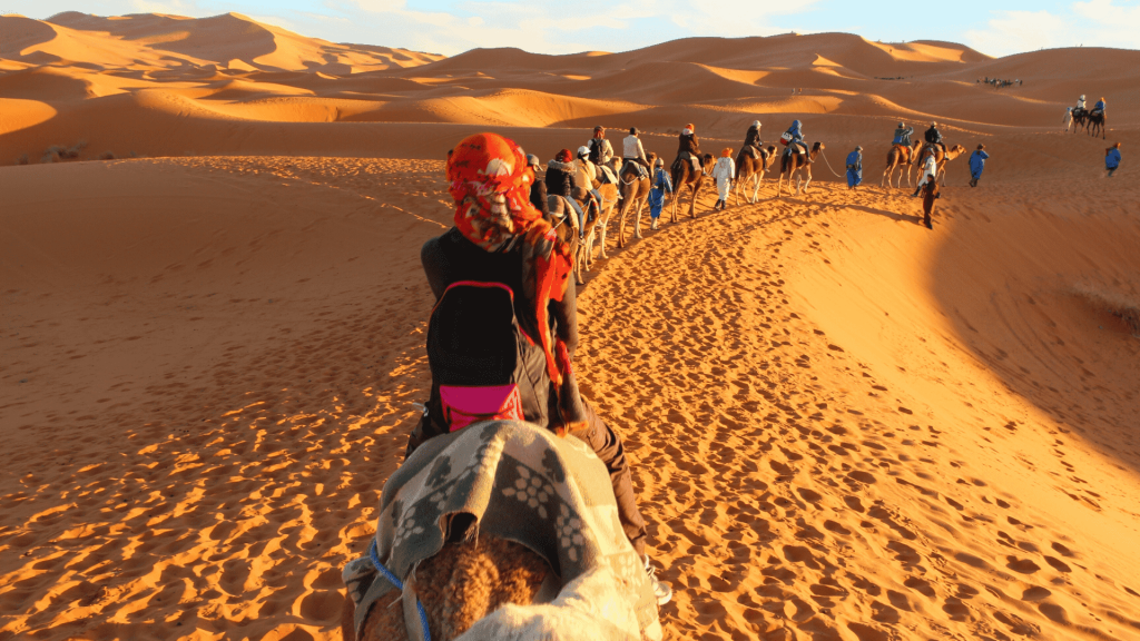 Camels on a Caravan in the Desert, Sahara Desert, Morocco