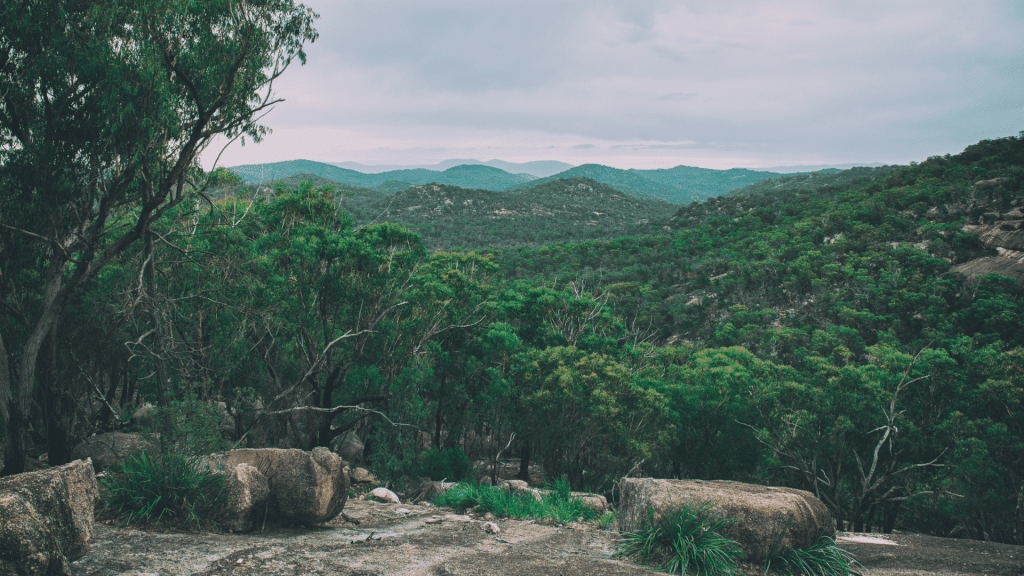 Girraween National Park, The Granite Belt Australia
