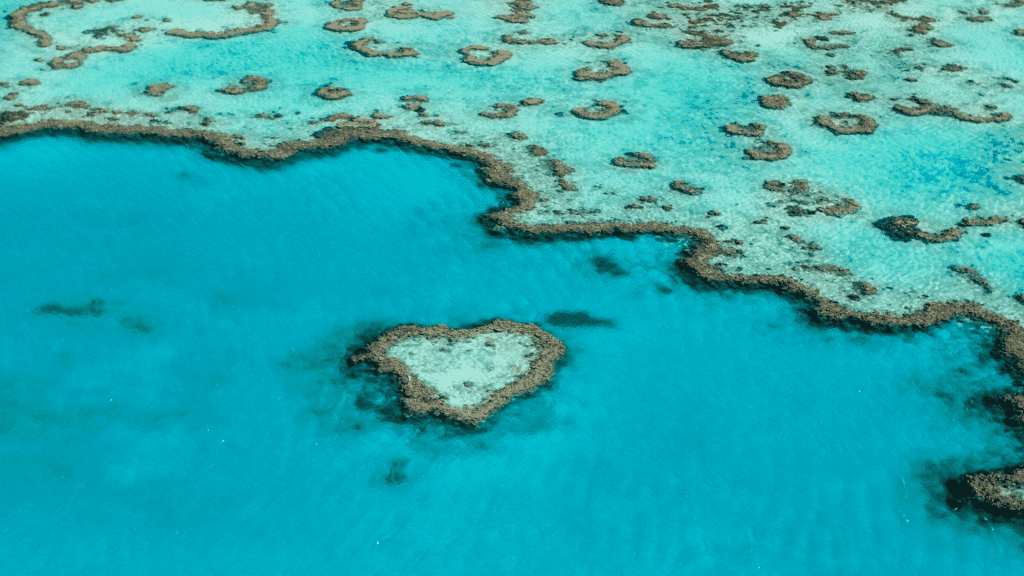 Great Barrier Reef - overhead shot