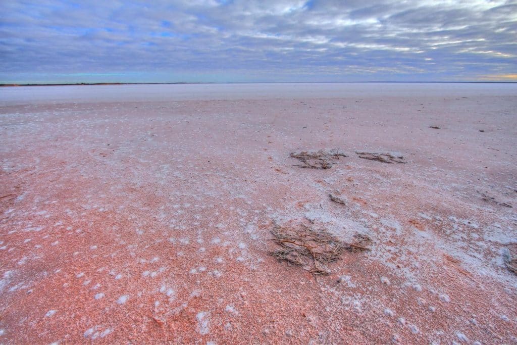 Lake Hart, South Australian Outback