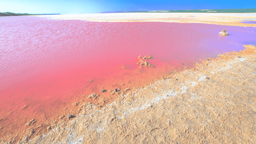 Lake Hillier, Pink Salt Lake in Western Australia