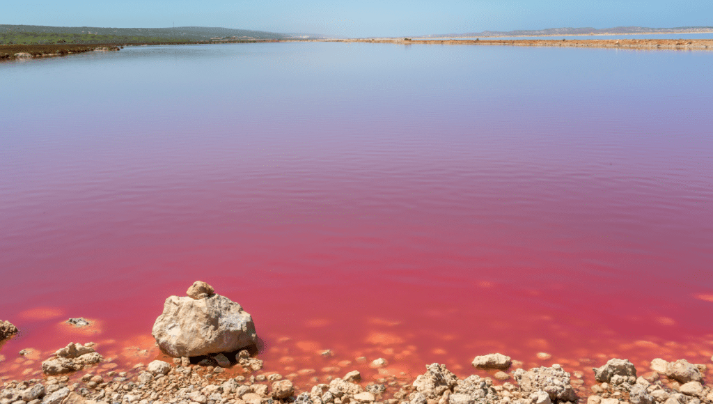 Pink Lake Hut Lagoon, Port Gregory, Western Australia - Australia