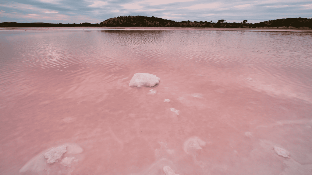 Pink Lake, Rottnest Island, Western Australia