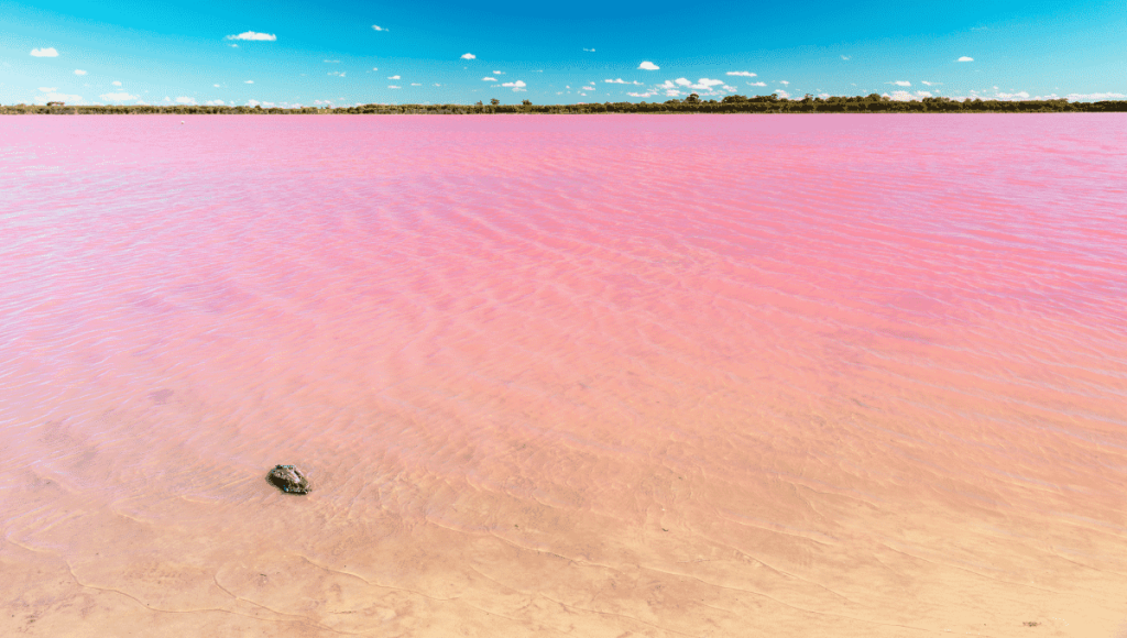 Pink Salt Lake in Australia