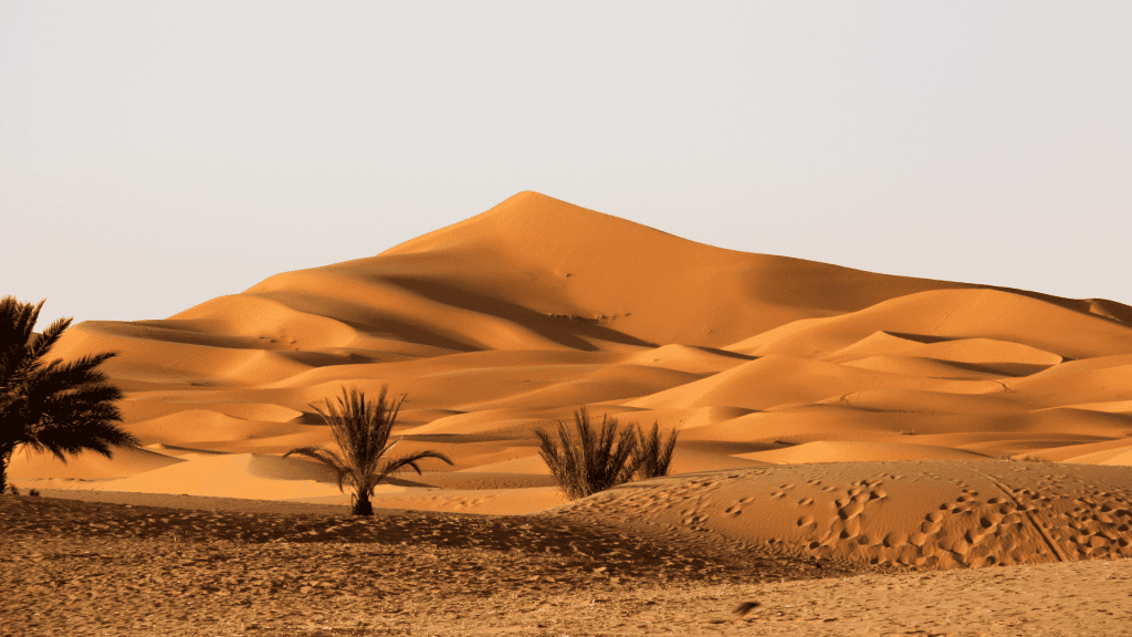 Sahara desert, Sahara, Morocco