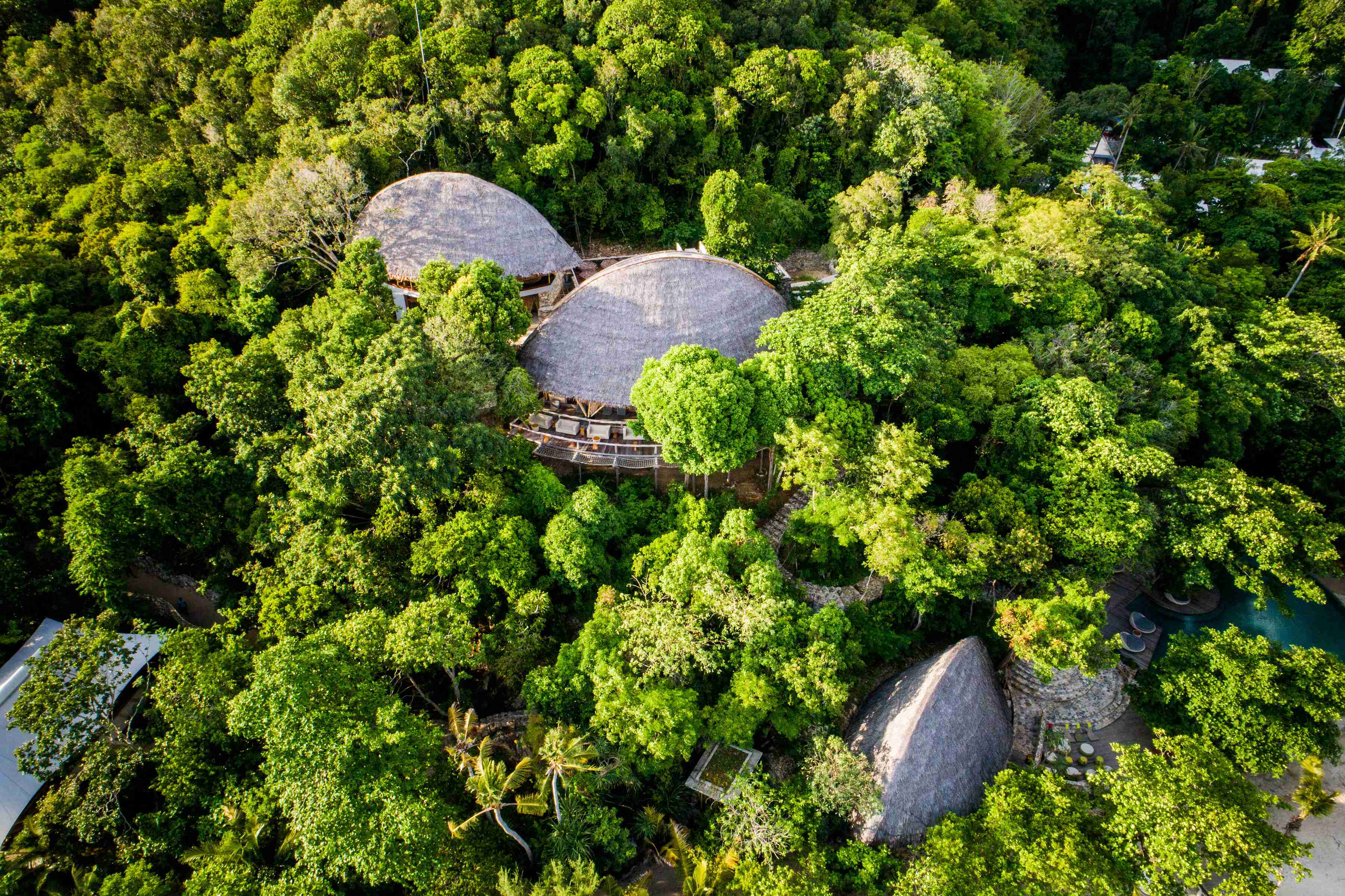 Bawah Reserve Indonesia -grouper_treetop_and_jules_bar