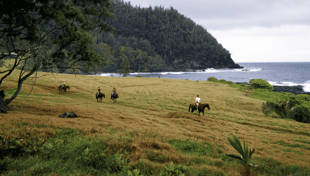 Horseback riding in Maui Hawaii