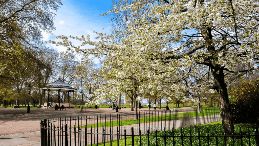 Spring in Hyde park - London, United Kingdom