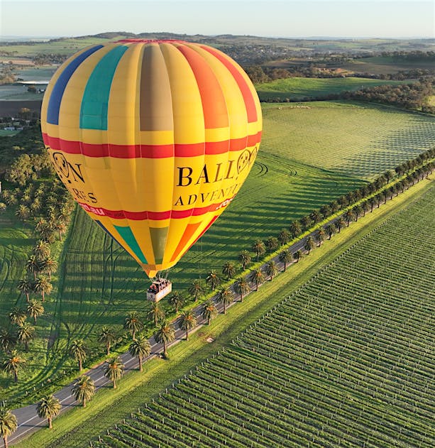 Barossa Valley Balloon